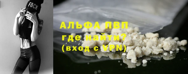 прущие грибы Балабаново