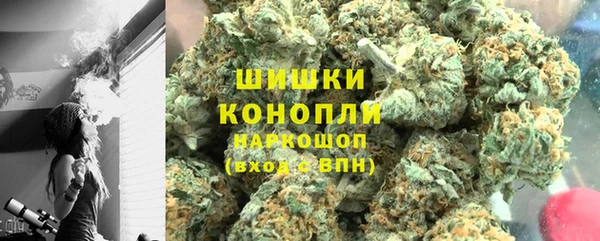 прущие грибы Балабаново