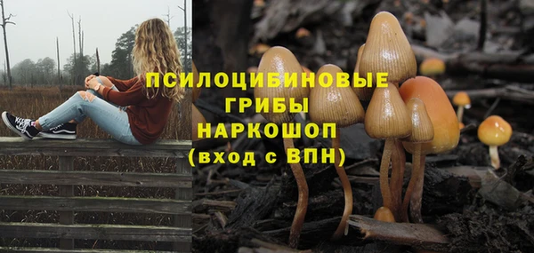 прущие грибы Балабаново