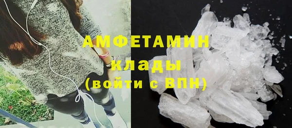 прущие грибы Балабаново
