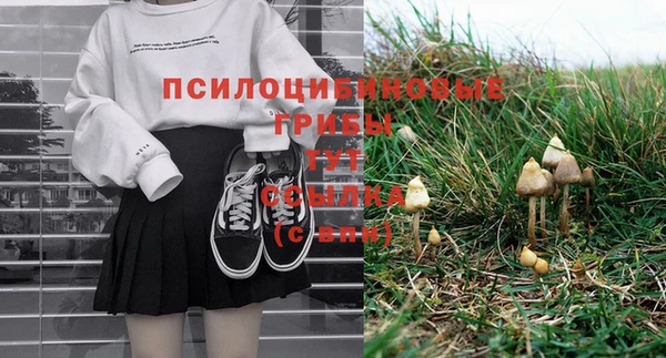 винт Белокуриха
